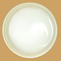 Salicylic Acid Ointmenr水杨酸凡士林软膏10%：100g