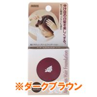 Amorous 美容院用 白发用 头发粉底（深灰色）：5g