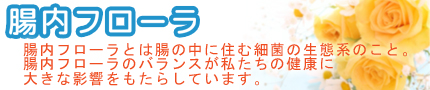腸内フローラとは
