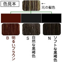 マロン マインドカラーS（ソフトな黒褐色）